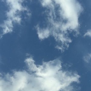 Meet your Posher, Kara